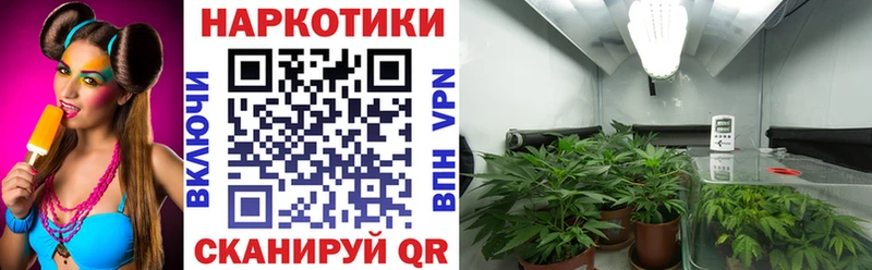 Купить A PVP  Меф  АМФЕТАМИН  Конопля  Галлюциногенные грибы  Гашиш  Пятигорск