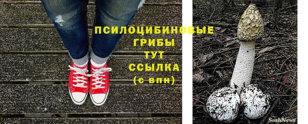 прущая мука Зеленокумск
