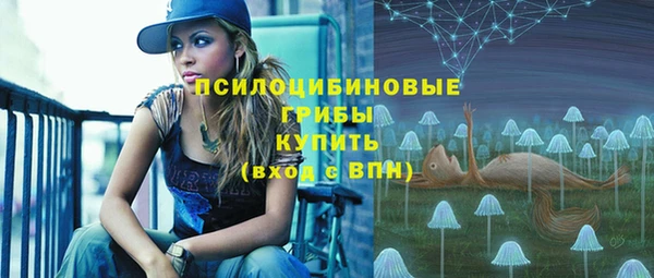 ПСИЛОЦИБИНОВЫЕ ГРИБЫ Зерноград