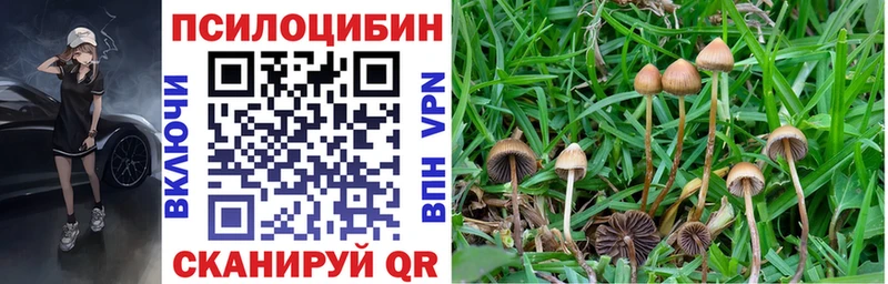 Галлюциногенные грибы мухоморы  Купить закладки  Пятигорск 